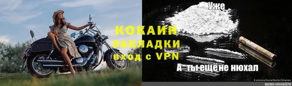гидра Алексин