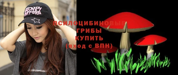эйфоретик Алзамай